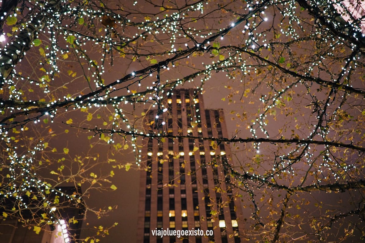 Qué ver en Nueva York en Navidades