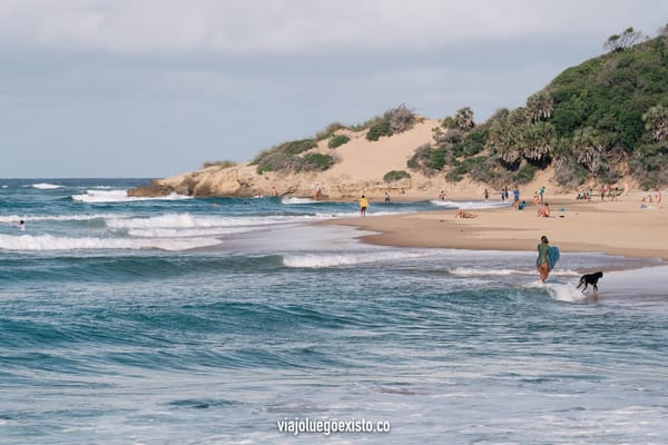 Qué hacer en Tofo, un pueblo muy especial en la costa sur de Mozambique